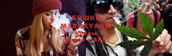 ECSTASY Богданович