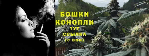 ECSTASY Богданович