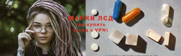 ECSTASY Богданович