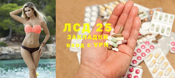 ECSTASY Богданович