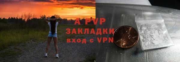 ECSTASY Богданович