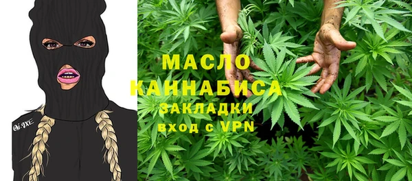 ECSTASY Богданович