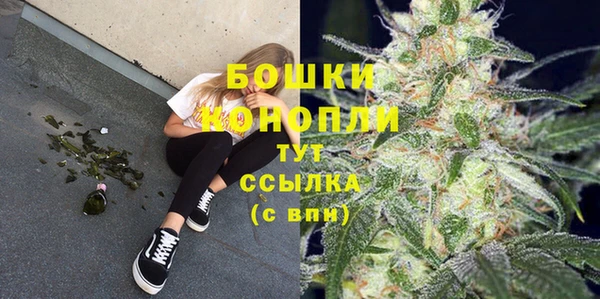 ECSTASY Богданович