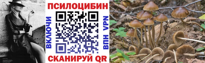 Галлюциногенные грибы Cubensis Ленинградская