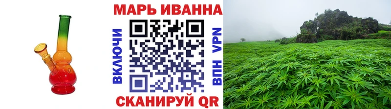 Бошки Шишки гибрид  Ленинградская 